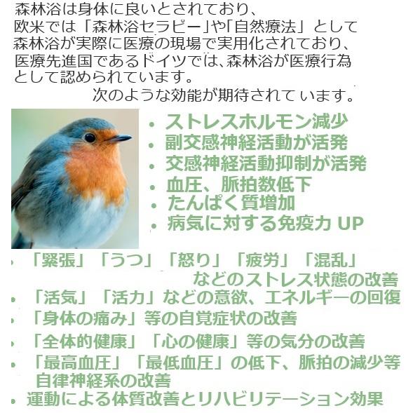 限定特価 イオンフレッシュリキッド 森林浴効果 Ion Fresh 限定特価 イオンフレッシュリキッド 森林浴効果 Ion Fresh