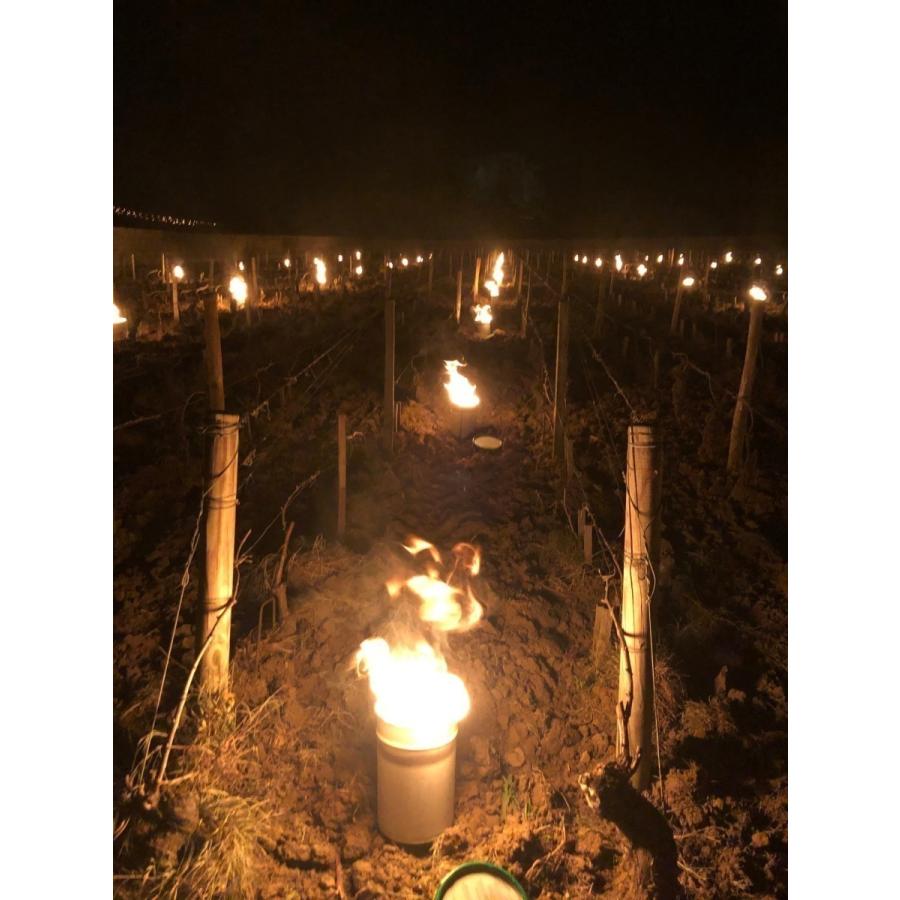 ブルゴーニュ コート・ド・ボーヌ ヴォルネイの最高品質の赤ワイン「Volnay 1er Cru- Les Brouillards」｜liberwine｜10
