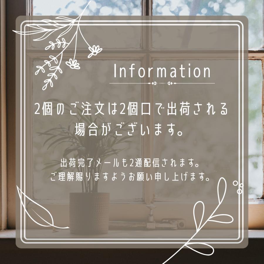 Libexy お薬カレンダー Mサイズ(ポケットなし/お薬多め) 1週間 壁掛け 薬 飲み忘れ防止 投薬 服薬 収納 ケース ポケット おくすりカレンダー 子供 老人[M便 1/1] |  | 09