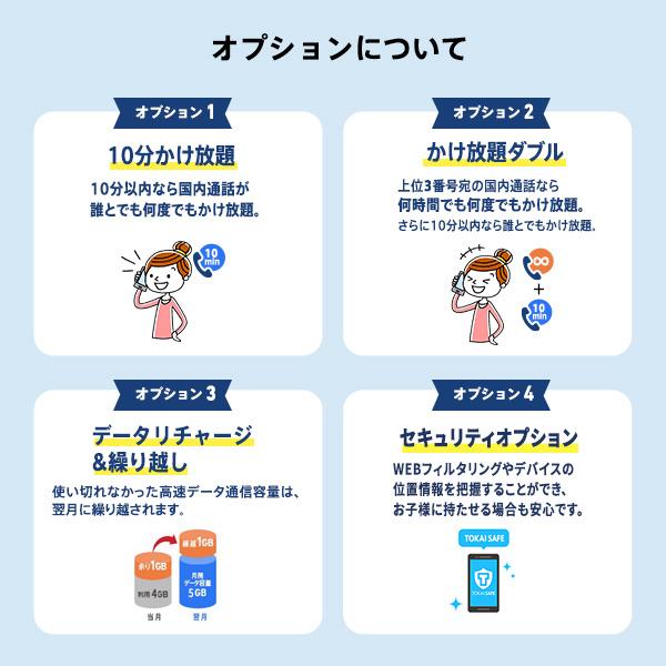 LIBMO エントリーパッケージ ドコモ対応SIM データ専用/SMS/音声通話 （格安SIM、SIMフリー） |  | 05