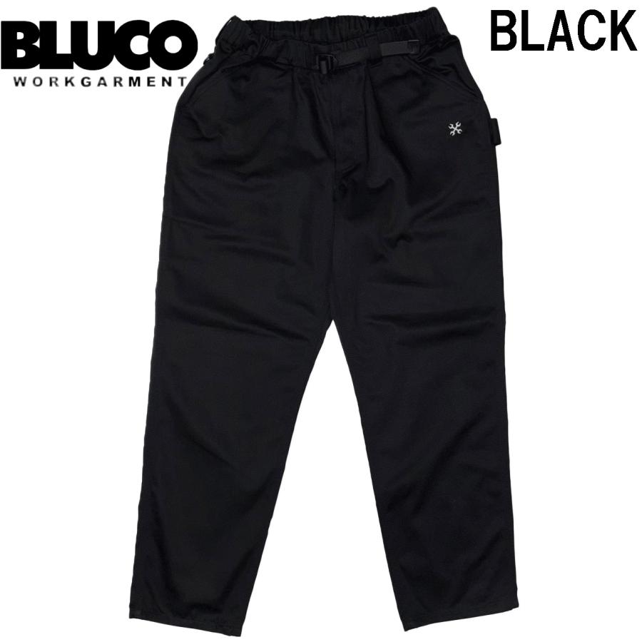 BLUCO（ブルコ） レギュラー加工 イージーペインターパンツ 161-41-052
