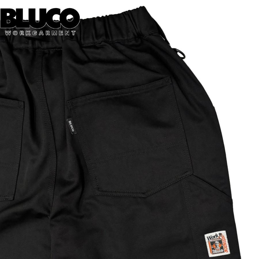 BLUCO（ブルコ） レギュラー加工 イージーペインターパンツ 161-41-052