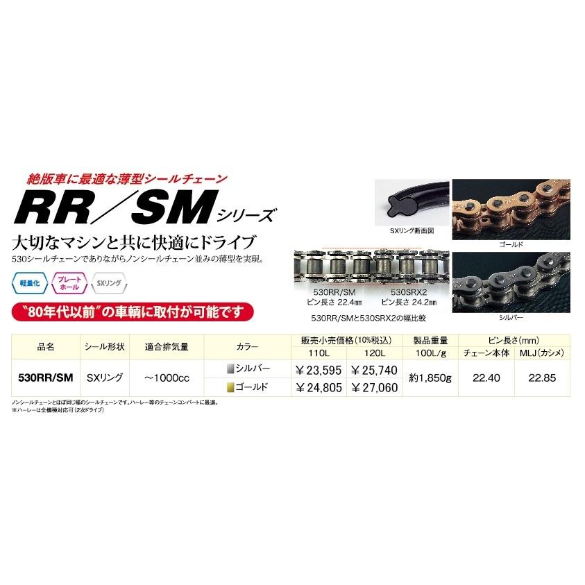 EKチェーン  530RR/SM (CR&NP)-110L シルバー＆シルバー カシメジョイント SXリング | EKチェーン | 01