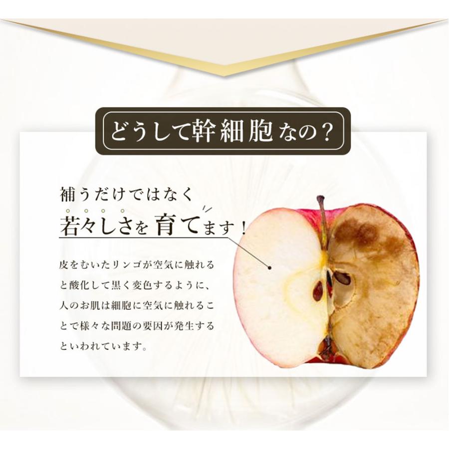 国産パック ヒト幹細胞】 高保湿フェイスマスク 30枚(1ヶ月分 国産パック ヒト幹細胞】 高保湿フェイスマスク 30枚(1ヶ月分