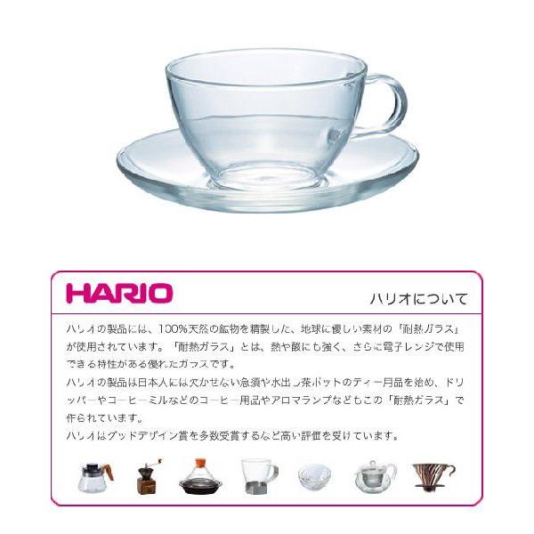 Hario ハリオ 耐熱ティーカップ ソーサー 230ml Tcsn 1t セレクトショップリブレ 通販 Yahoo ショッピング