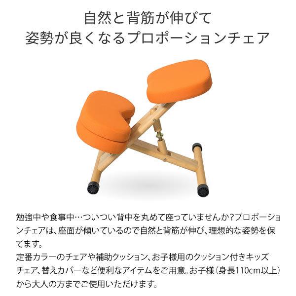 学習チェア プロポーションチェア 学習イス 学習椅子 リビング学習 子供椅子 クッション付き キッズ キッズチェア CH-889CK 宮武製作所 全5色|licept|03