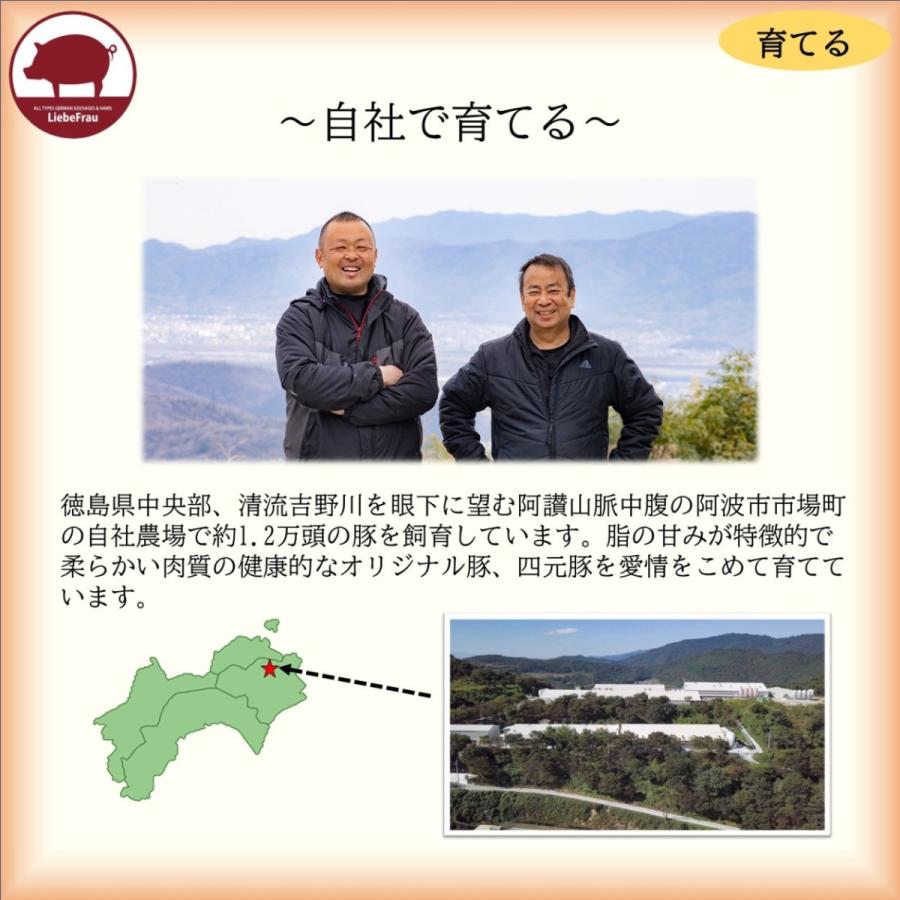 お中元 御中元 ソーセージ ウインナー 無塩せき ギフト 詰め合わせ 徳島県産 阿波美豚 無塩せきソーセージ5種セット 内祝い お歳暮 御歳暮｜liebeliebe｜08