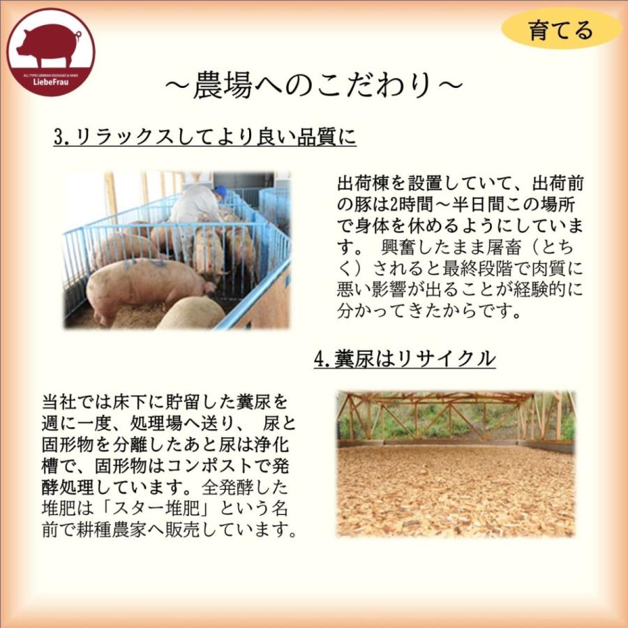 ハム ボンレスハム 無塩せき ブロック 徳島県産 阿波美豚 280g｜liebeliebe｜06