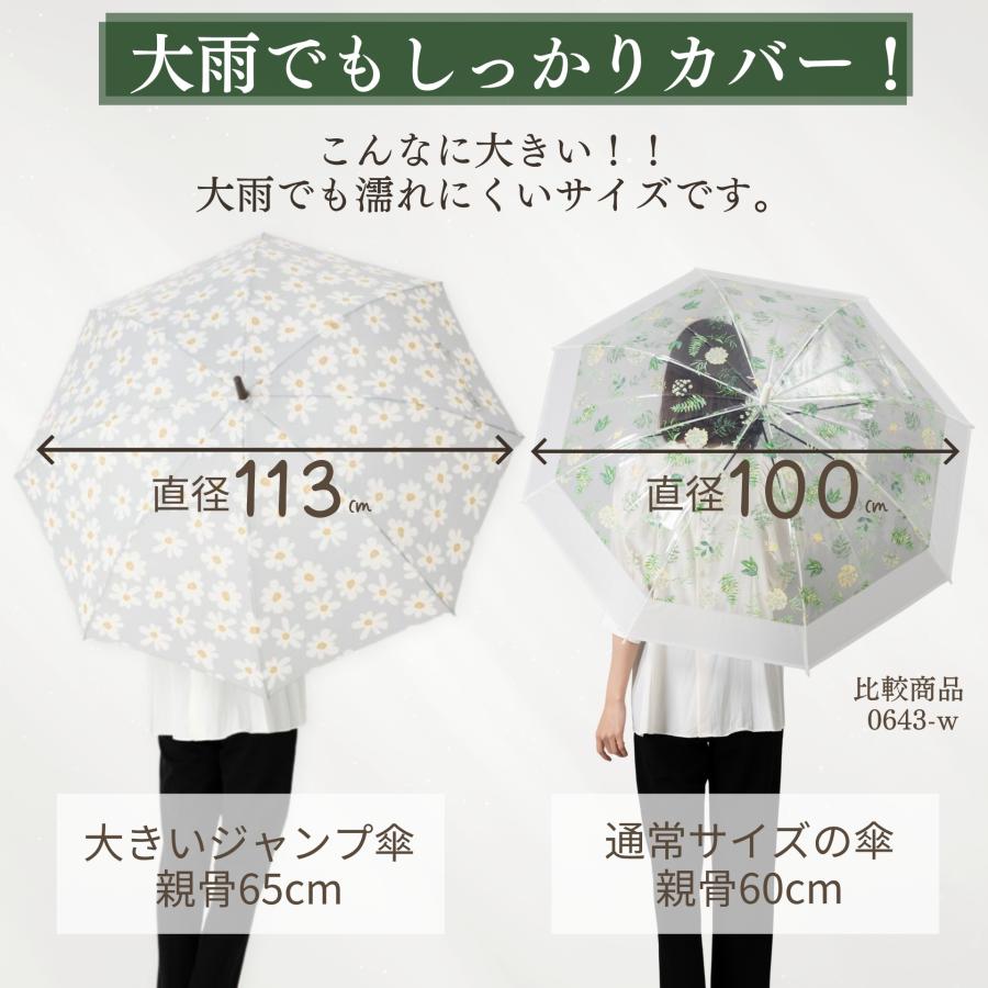 未使用レディース傘 Lieben（リーベン） 傘 レディース 大きい 長傘 65cm おしゃれ 雨傘