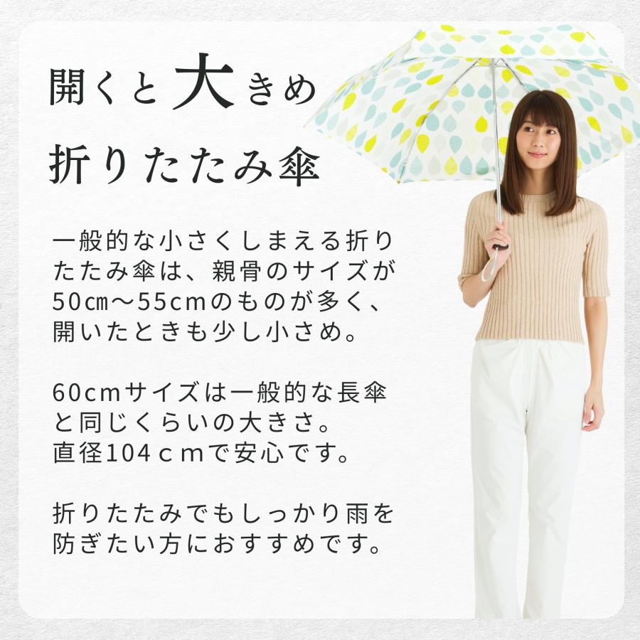 Lieben（リーベン） 傘 レディース 折りたたみ傘 開閉かんたん 晴雨