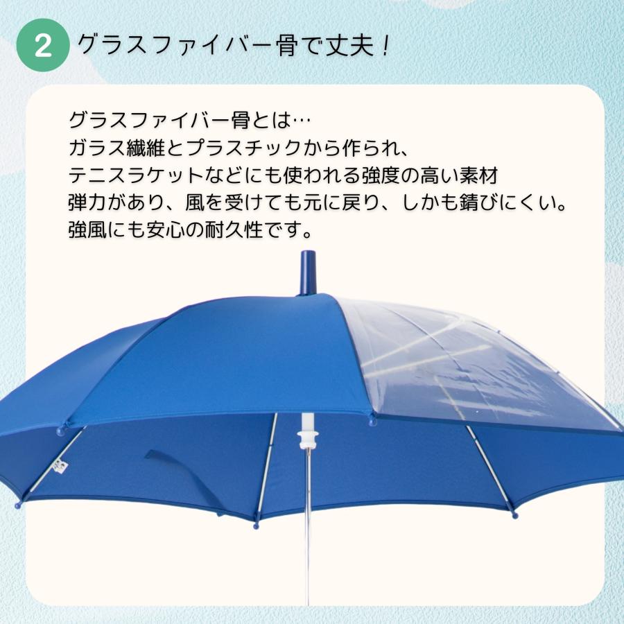 Lieben（リーベン） 傘 子供用 キッズ 男の子 女の子 50cm 透明窓付