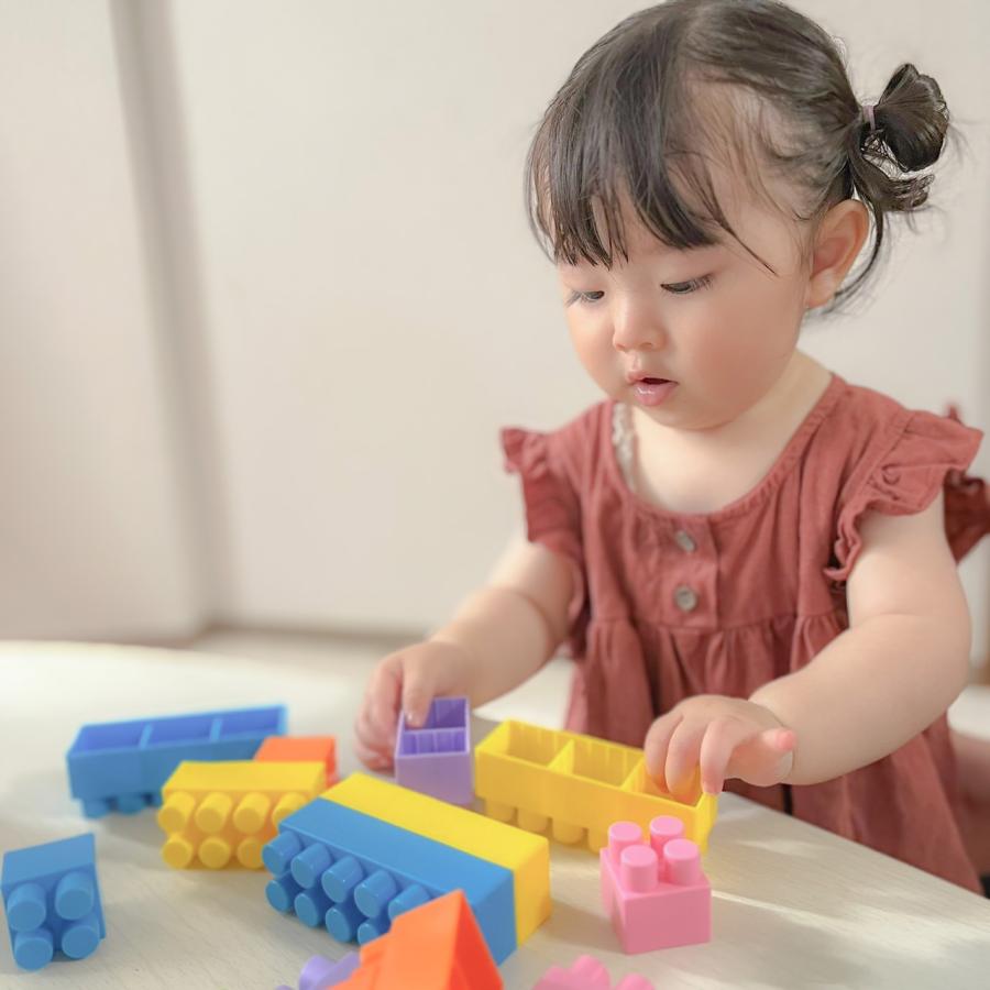 2種セット ポリシエ 海外 おもちゃ ガーデンハウス ブロックセット