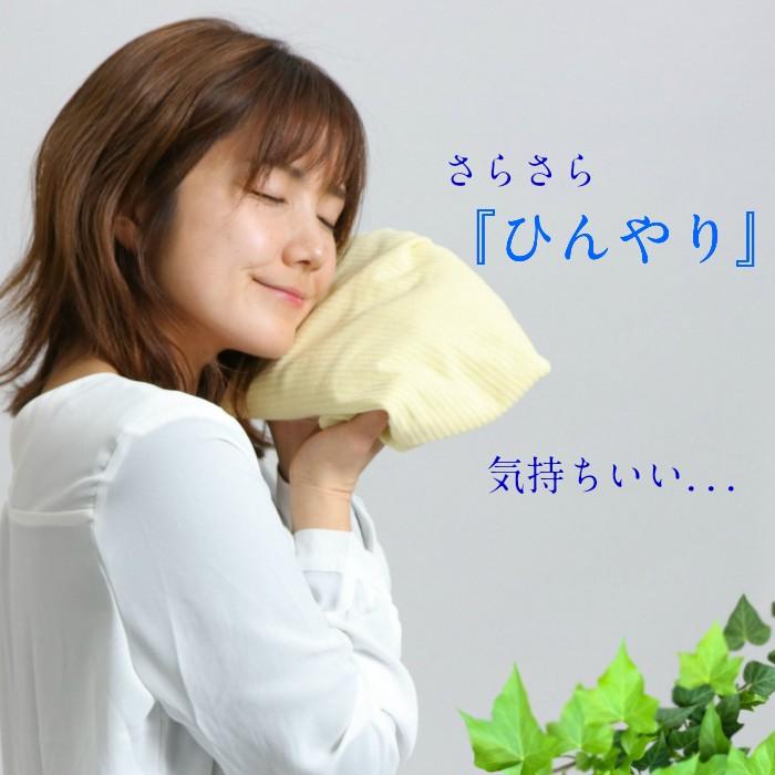 快適シャドーボーダー　ハイネック　レディース　長袖　春夏用　カットソー　　綿100％　日本製　コットン　ｔシャツ　　重ね着　おしゃれコーデ　接触冷感　 |  | 03