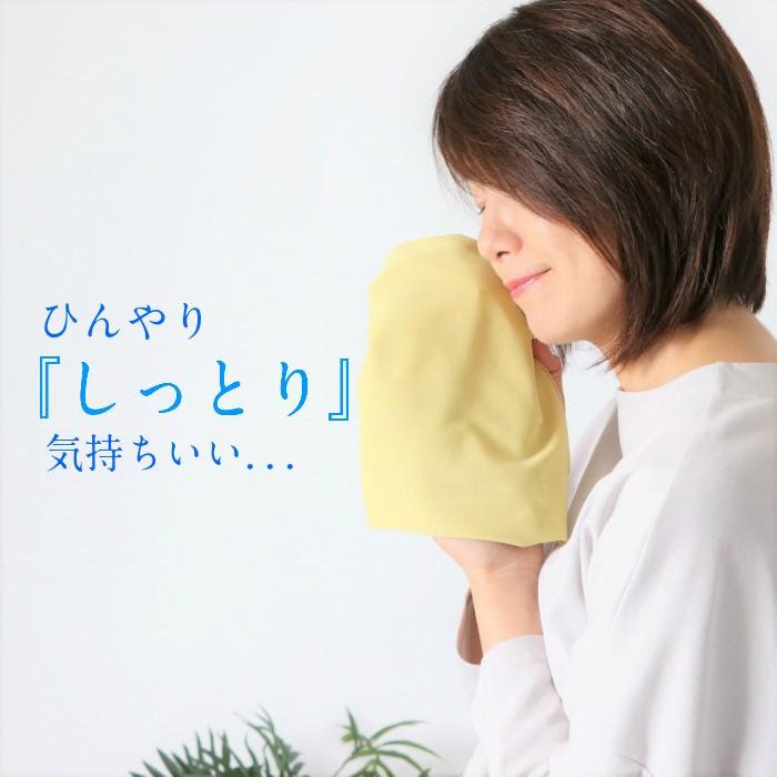 日本製 接触冷感Candoタンク 短めハイネック ノースリーブ 綿100％ レディース ハイネックインナー コーデ ゴルフ スポーツ おすすめ 春夏 シア― 母の日 |  | 02