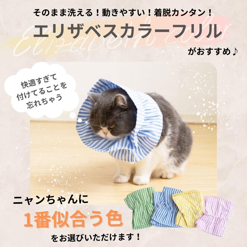 エリザベスカラーフリル 猫 犬 傷防止 カラー いぬ ネコ ペット用