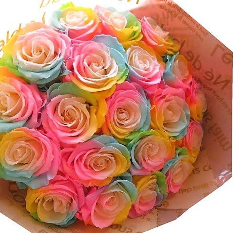 高評価のクリスマスプレゼント プリザーブドフラワー レインボーローズ 誕生日プレゼント バラ 誕生日プレゼント 記念日 バラ 大輪系 花束 フラワーギフト 花束 本 生花 Smssvg Org