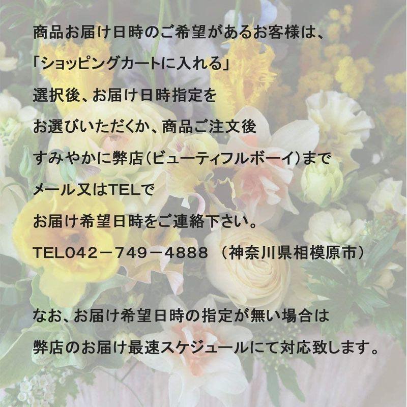 最高級 お悔やみ ホワイト おしゃれ 生花 フォトフレームセット フラワーアレンジメント メッセージカード ペット お供え ギフト 花 生花 Www Solidarite Numerique Fr