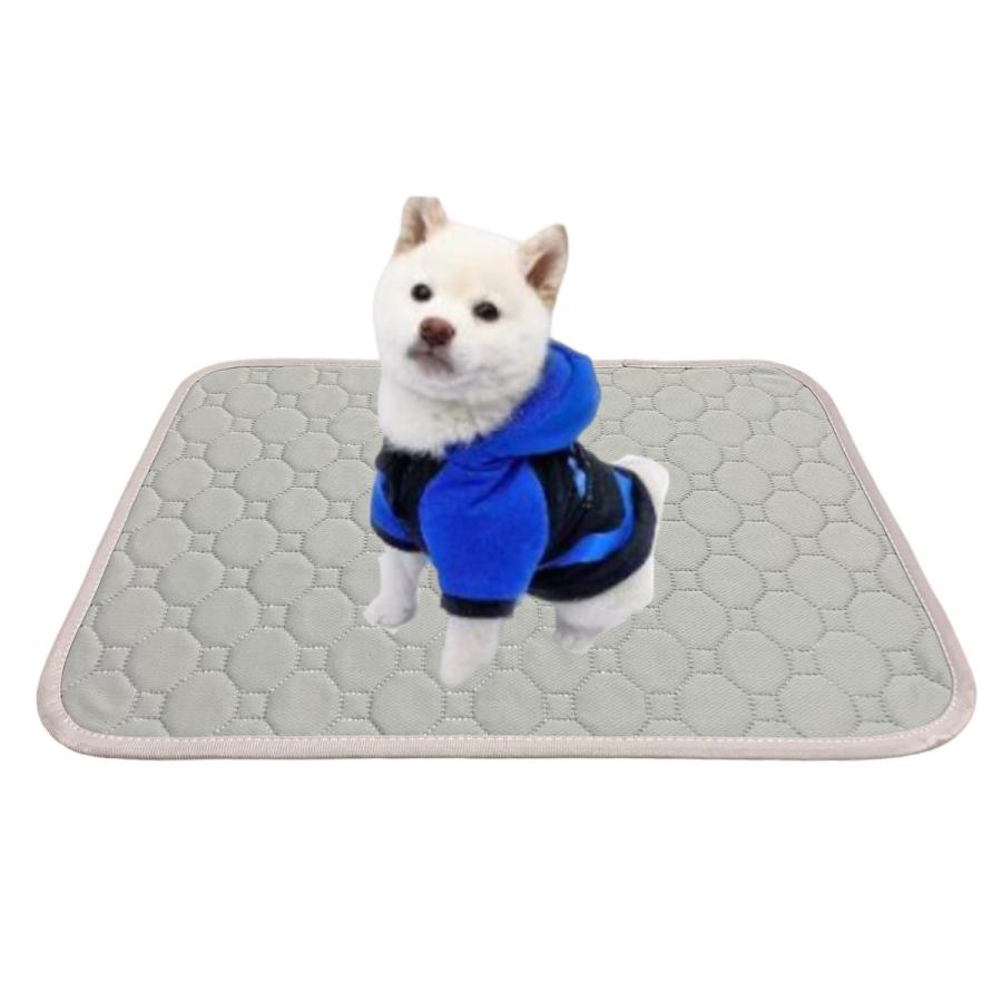 ペットシーツ 洗える ワイド L 安い 犬 猫 トイレシート マット