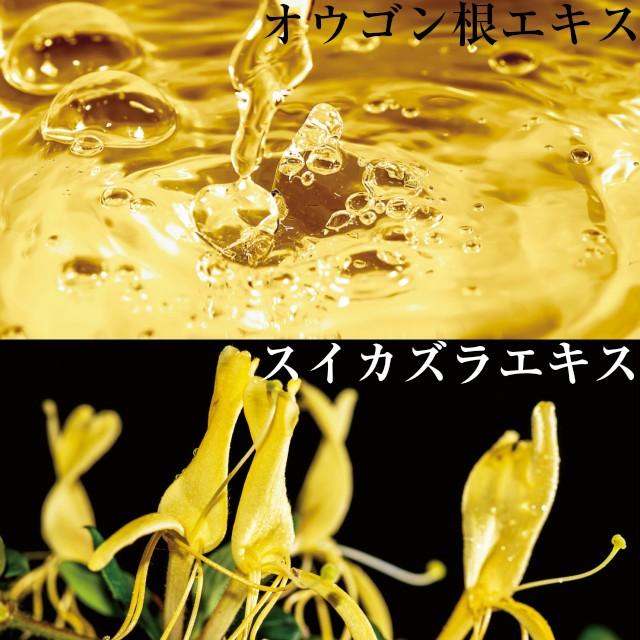 POLA POLA ポーラ アロマエッセゴールド コンディショナー