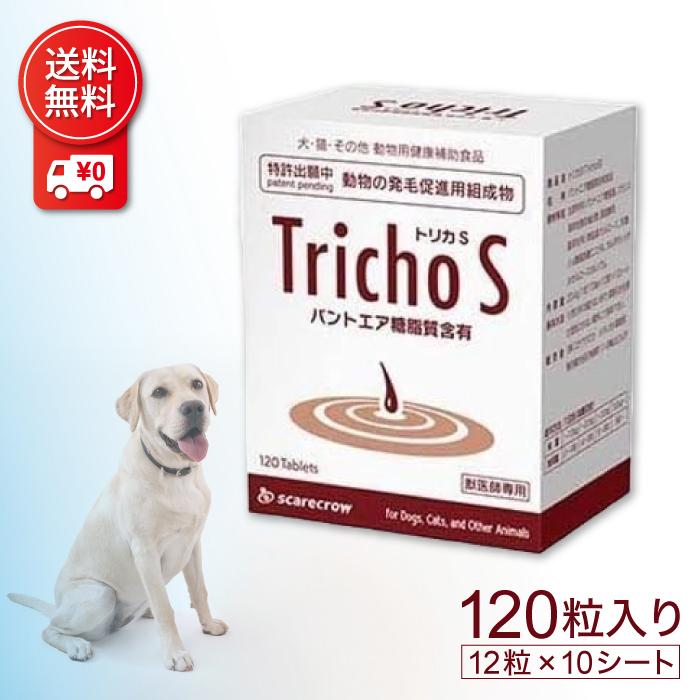 Tricho トリカ　スケアクロウ スケアクロウ トリカS 20.4g 犬用 サプリ トリカ 1粒170mg×12粒×10