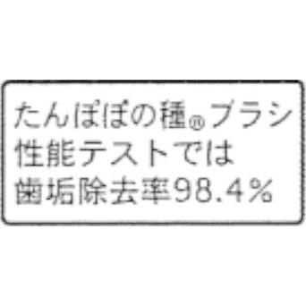 たんぽぽの種 360度 歯ブラシ 4本セット ベビー用 キッズ用 成人用 カラーアソート 色はおまかせ 極細毛 送料無料｜life-aozora-shop｜07