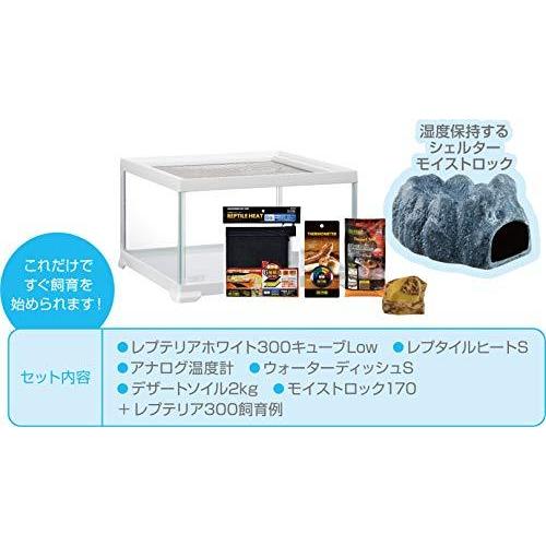 GEX EXOTERRA レプテリア レオパ飼育キットM 爬虫類用ガラスケージ 6点スターターセット ヒーター付 W31.6×D31.6×H19.2cm GEX EXOTERRA レプテリア レオパ飼育キットM 爬虫類用ガラスケージ 6点スターターセット ヒーター付 W31 6×D31 6×H19 2cm
