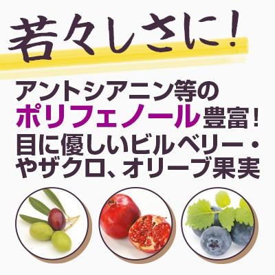 40代からの俺のサプリ 1本90粒入 約1ヶ月分 クラチャイダム 黒ショウガ 亜鉛 牡蠣肉エキス ブロッコリースプラウト｜life-direct｜06