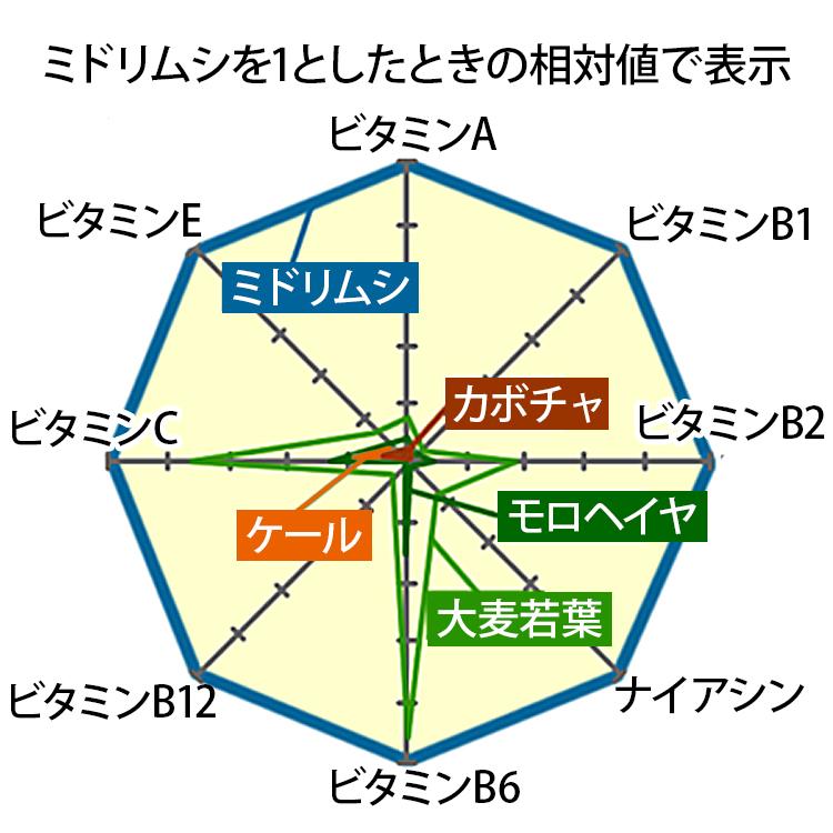 ミドリムシエメラルド 93粒入り ユーグレナ ミドリムシ サプリ モンドセレクション受賞 お得な5袋セット ミドリムシエメラルド 93粒入り
