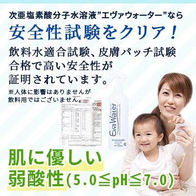 エヴァ水　10L   コロナ対策に！ エヴァウォーター 新型コロナウイルス対策！