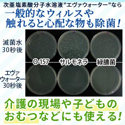 次亜塩素酸水 スプレータイプ 最安値に挑戦 エヴァウォーター 400ml 空間除菌 空気を洗う コロナウイルス 消臭