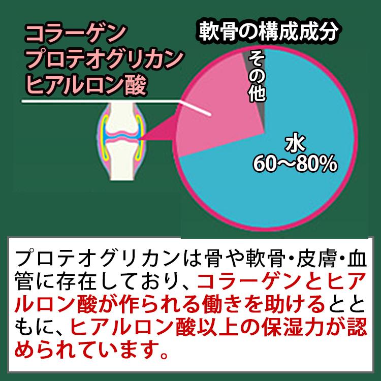 プロテオグリカン すこやか 2本セット 非変性II型コラーゲン サプリ N-アセチルグルコサミン コンドロイチン｜life-direct｜05