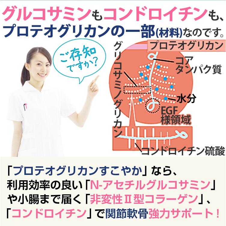 プロテオグリカン すこやか 2本セット 非変性II型コラーゲン サプリ N-アセチルグルコサミン コンドロイチン :proteoglycan02:ライフダイレクト ヤフー店 - 通販 - Yahoo!ショッピング プロテオグリカン すこやか 2本セット 非変性II型コラーゲン サプリ N-アセチルグルコサミン コンドロイチン :proteoglycan02:ライフダイレクト ヤフー店 - 通販 - Yahoo!ショッピング