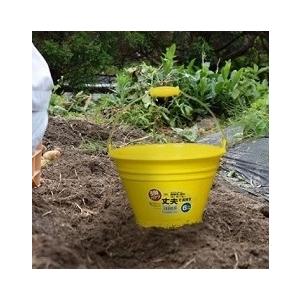 バケツ 6l 広口 アルミハンドル カラーバケツ 強い 頑丈 長持ち 掃除用品 学校 農作業 害虫駆除