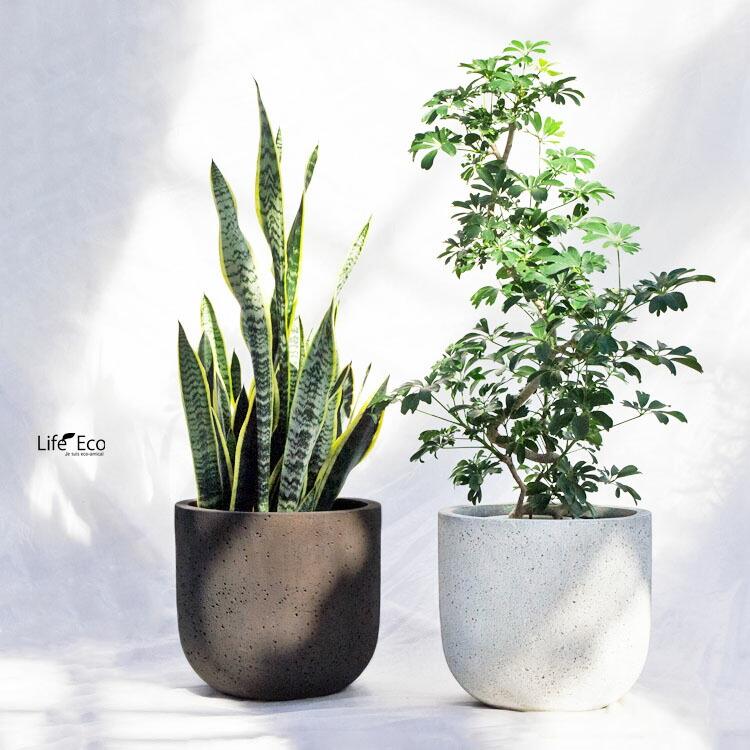 植木鉢 大型 ファイバーセメント製 ロッカー Uポットブラウン（茶） / φ55cm×H56cm（18号）_2