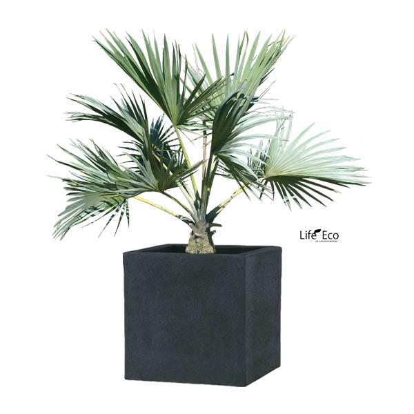 植木鉢 ファイバー製 軽量 オシャレ BLチェルトンハム2 スクエア キューブ 角 40cm 植木鉢 大型 ファイバー製 おしゃれ 軽量 BLチェルトンハム2 外寸