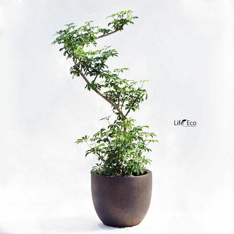 植木鉢 軽量大型 FRP製 バンドール ラウンド ブロンズ（ブラウン・茶