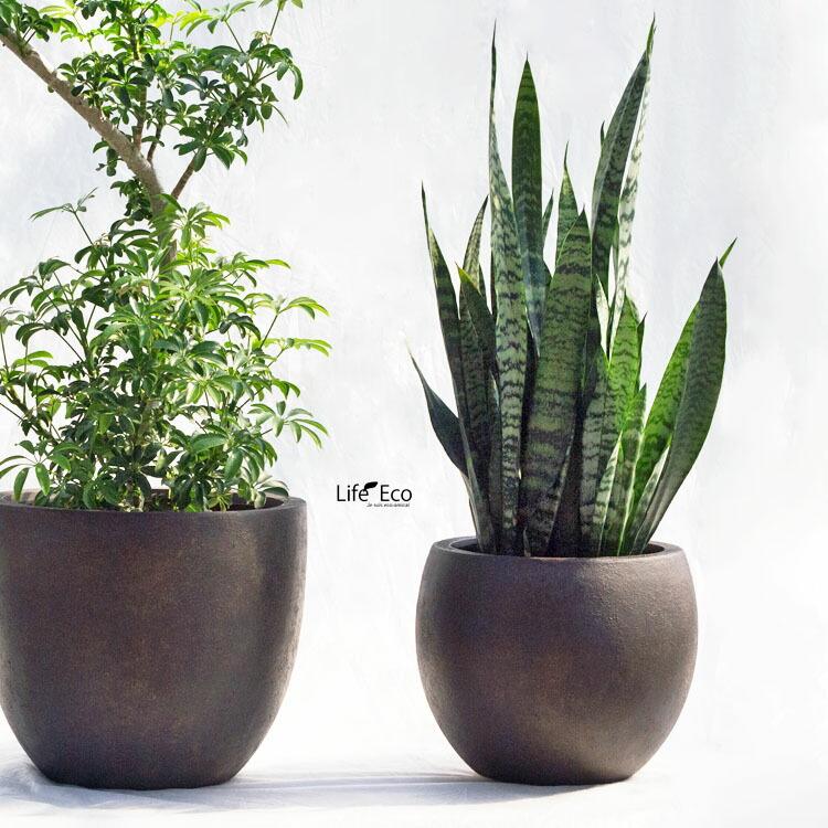 植木鉢 軽量大型 FRP製 バンドール ラウンド ブロンズ（ブラウン・茶
