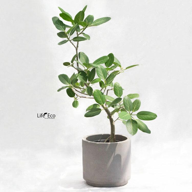植木鉢 大型 デッカー シリンダー ナチュラル（グレー・灰） φ40cm