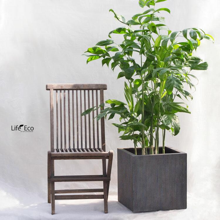植木鉢 軽量大型 FRP製 エンバス キューブ ブラック（黒） / □50cm×H50cm（17号）の画像