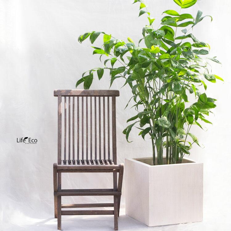 植木鉢 軽量大型 FRP製 エンバス キューブ ホワイト（白） / □50cm×H50cm（17号）の画像