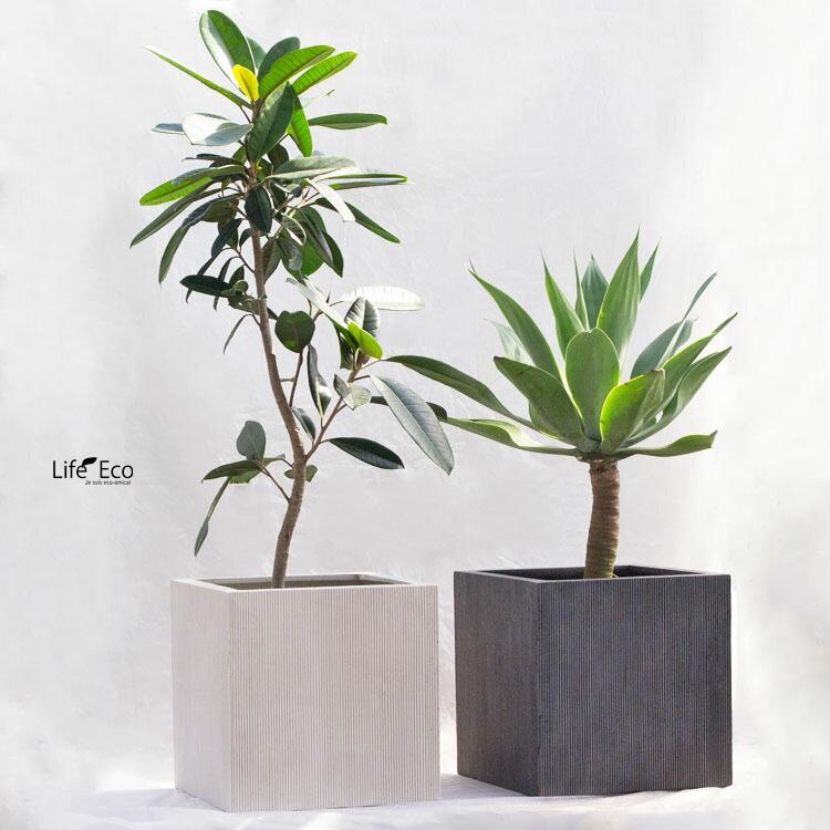 植木鉢 軽量大型 FRP製 エンバス キューブ ホワイト（白） / □50cm×H50cm（17号）の画像