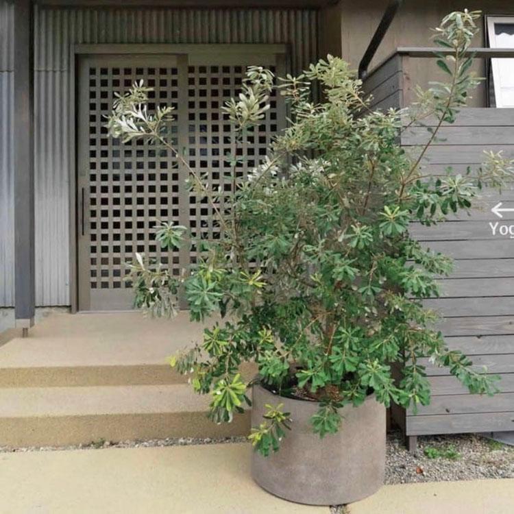 植木鉢 大型 軽量 グラナイト ローシリンダー グレー（灰）/ φ60cm×H41cm（20号）の画像