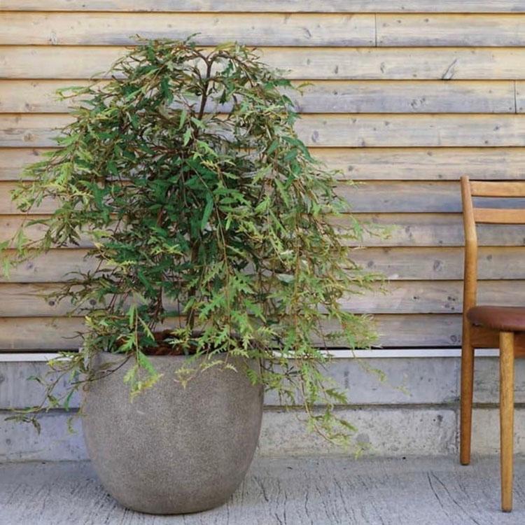 植木鉢 大型 軽量 FPR製 GRANITE グラナイト エッグ グレー（灰）/ φ55cm×H47cm（18号）_2