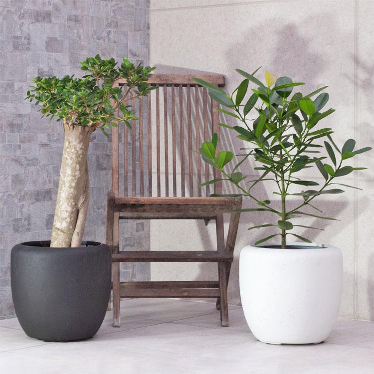 選ぶなら 植木鉢 軽量FRP製 カンサラ ホワイト（白）/ φ32cm×H30cm（11号）