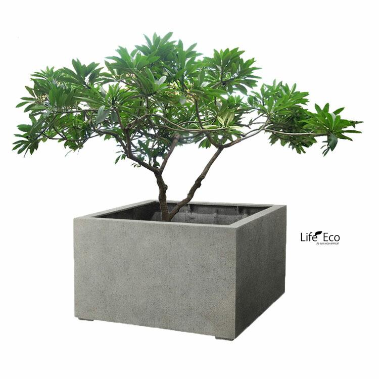 植木鉢 大型 軽量 FPR製 モードライト ローキューブ ライトグレー / □60cm×H42.5cm（20号）の画像