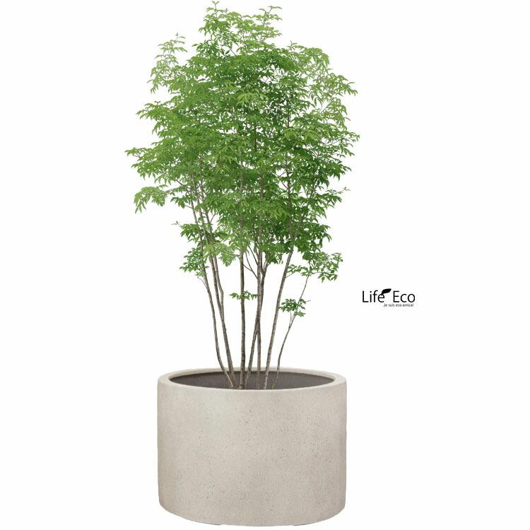 植木鉢 大型 軽量 FPR製 モードライト ローシリンダー アンティークホワイト（白） / φ60cm×H41cm（20号）の画像