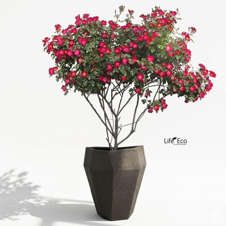 植木鉢 大型 軽量 FRP製 オクタジオ（OCTAGIO） ミドル マキアート（ブラウン・茶） φ48cm×H52cm（16号・16寸）_3
