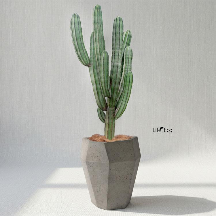 植木鉢 大型 軽量 FRP製 オクタジオ（OCTAGIO） ミドル マキアート（ブラウン・茶） φ48cm×H52cm（16号・16寸）_4
