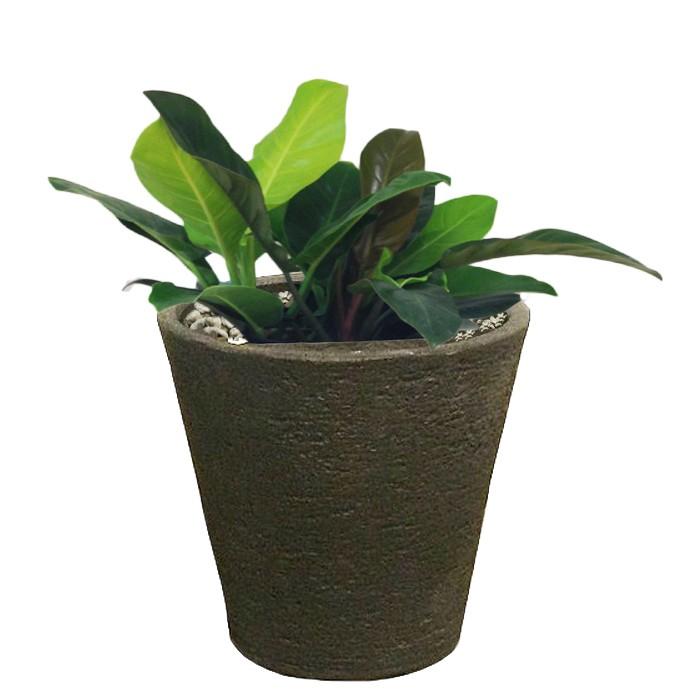 おしゃれ 樹脂製 軽量 植木鉢 新素材ポリストーンライト 外径31cm 高さ29cm ビアス ソリッド ブラックの画像