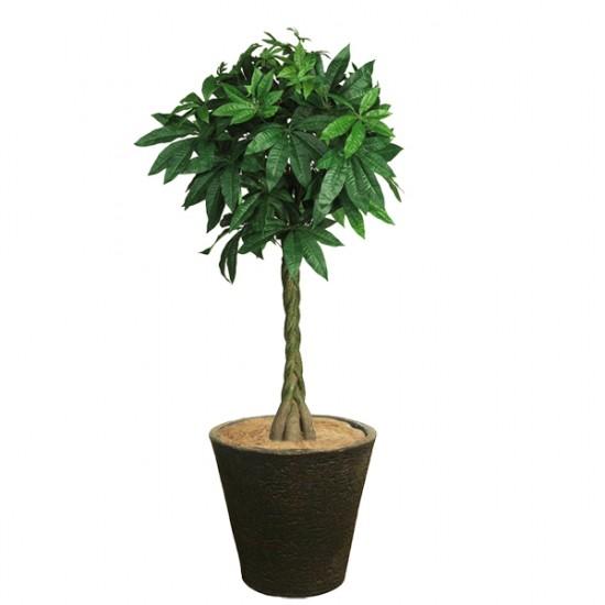 おしゃれ 樹脂製 軽量 植木鉢 新素材ポリストーンライト 外径31cm 高さ29cm ビアス ソリッド ブラックの画像